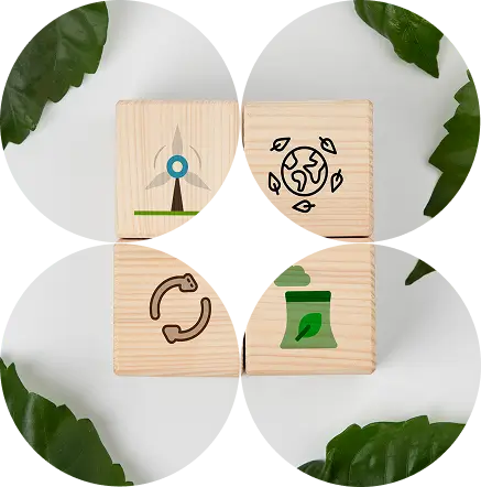 Expert Environmental Consulting