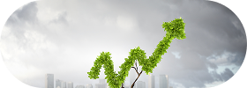 sustainability